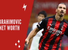 Ibrahimovic Net Worth